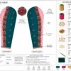 Sleeve Embroidery Tracing Design for Aari Work Blouse