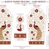 2 in 1 Invisible Aari Jacket with wine royal peacock embroidery on transparent organza detachable bridal blouse custom Aari work online sleeve tracing