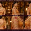 360-degree view of Golden Temple Heritage Bridal Aari Blouse showcasing front, back, sleeves and complete handcrafted Maggam Work embroidery for bridal wear.
